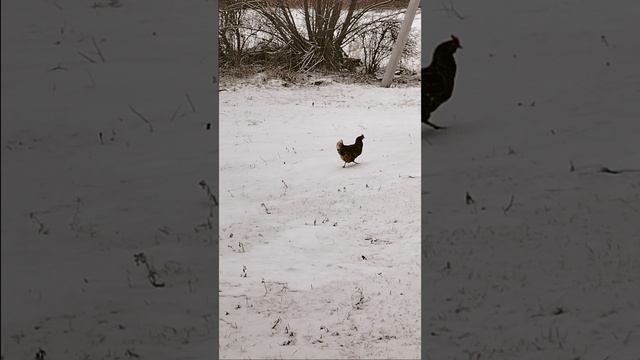 1000001620.mp4