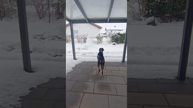 1000071094.mp4