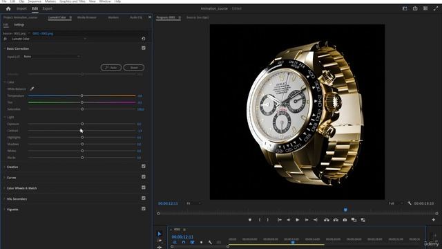 5. Editing the Render in Premiere Pro