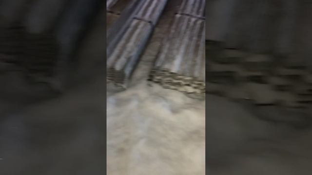 1000048860.mp4