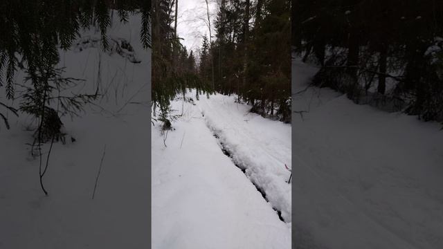 Пресс, ролик, лыжи 18км,более подробно в длином видео 12.01.25