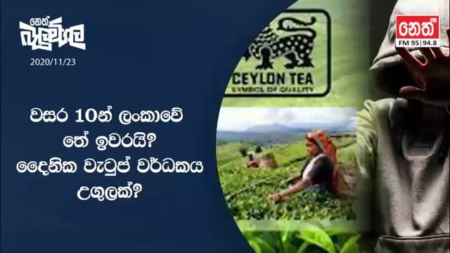 Neth Fm Balumgala | Ceylon Tea නීත්යානුකූල ද? | 2020-11-23