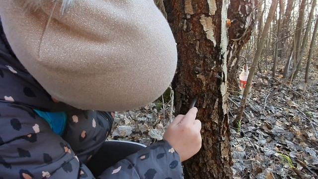 Арішка і березовий сік