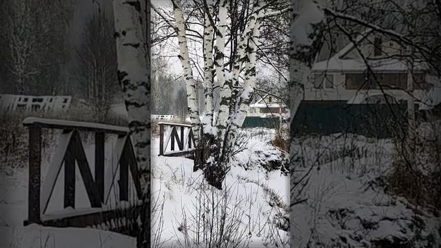 Вьюга у заброшенных строений | Natures Quiet Retreat