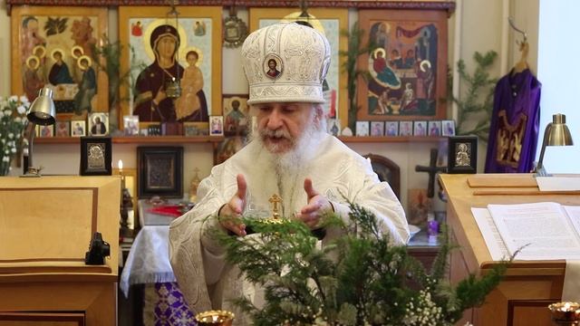 Проповедь епископа Амвросия (Тимрота) в неделю по Рождестве Христовом, 12 января 2025 года