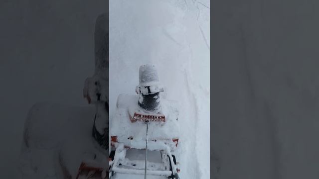 Какие девочки такие и игрушки.