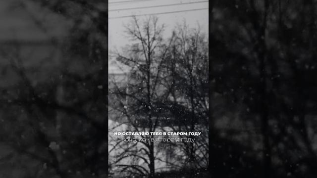SOKOLIKA - В старом году #SOKOLIKA