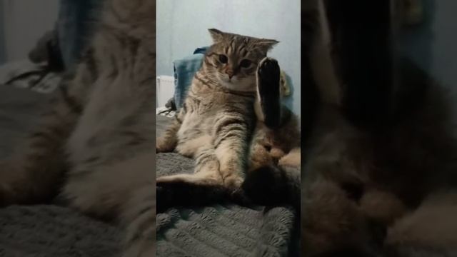 посмотрите на этого красавца🎉😎💪