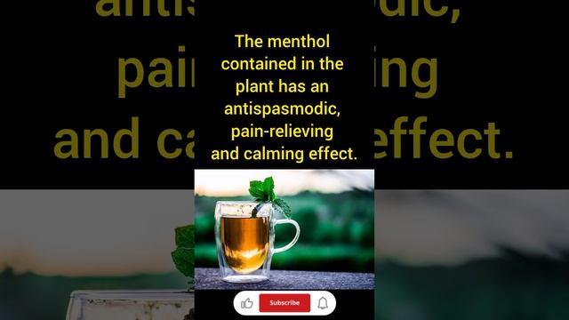 Peppermint tea   relieves stomach pain #peppermint #mint #menthol #mentholtea #pepperminttea #drink
