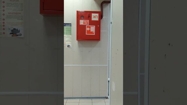 прятки в универсаме часть 2