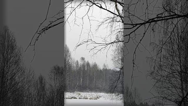 Снежная тишина в разрушенных домах | Natures Quiet Retreat