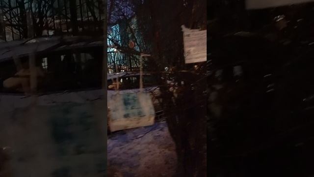 Кормушки для синиц и воробьёв у работы