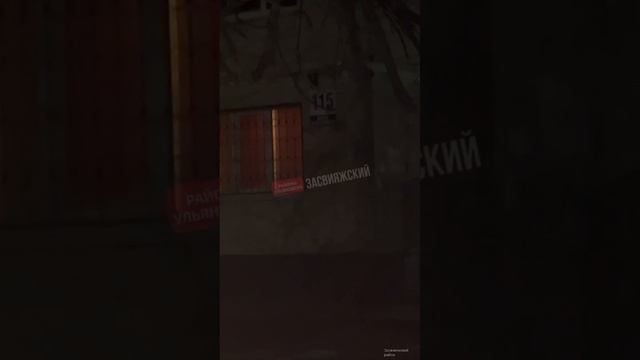 ❗️ Собаку сбили на Ефремова, 115  Беспомощная бедняжка лежит в кустах у дороги.  Очевидцы сообщают,