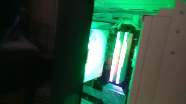 VID_20250112_134818.mp4