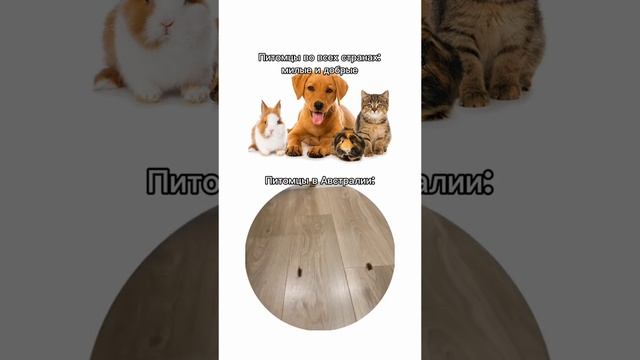 1fcd4310-dbfe-4eca-8496-c7667382b8fd