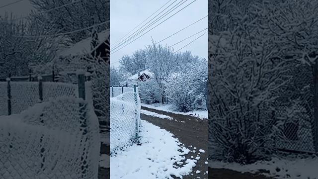 Старый Новый год в Крыму, всё в снегу