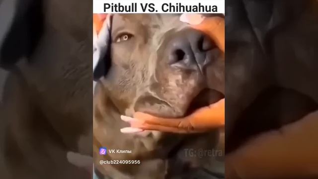 1000008005.mp4