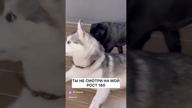 Флирт там, где его не ожидали