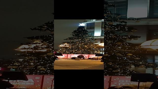 1000039042.mp4