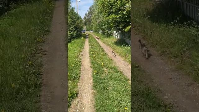 Отдых за городом