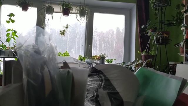 2-3.04.22/Дождь?/Пеку вкусный манник/Ждем гостей/Добралась до ниточек😊