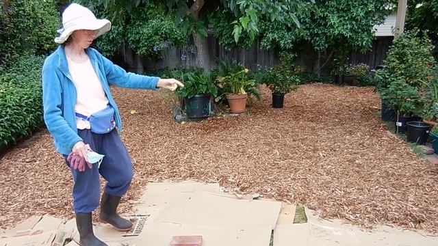 How to Remove Your Lawn, Grass, or Turf. Part 1 of 2 DSCN6045