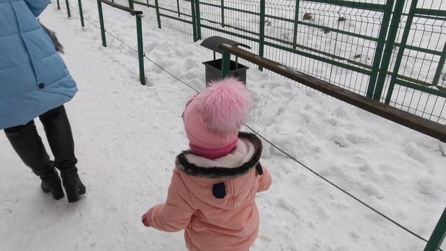 КОСТРОМСКОЙ ЗООПАРК