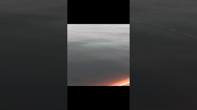 Шикотан, рыба-луна