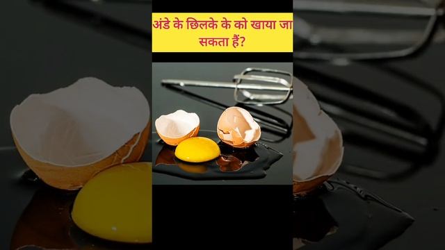 अंडे का छिल्के को खाया जा सकता हैं क्या? क्यों फेक देते हैं इसके छिल्के को? #shorts#facts#games#tip