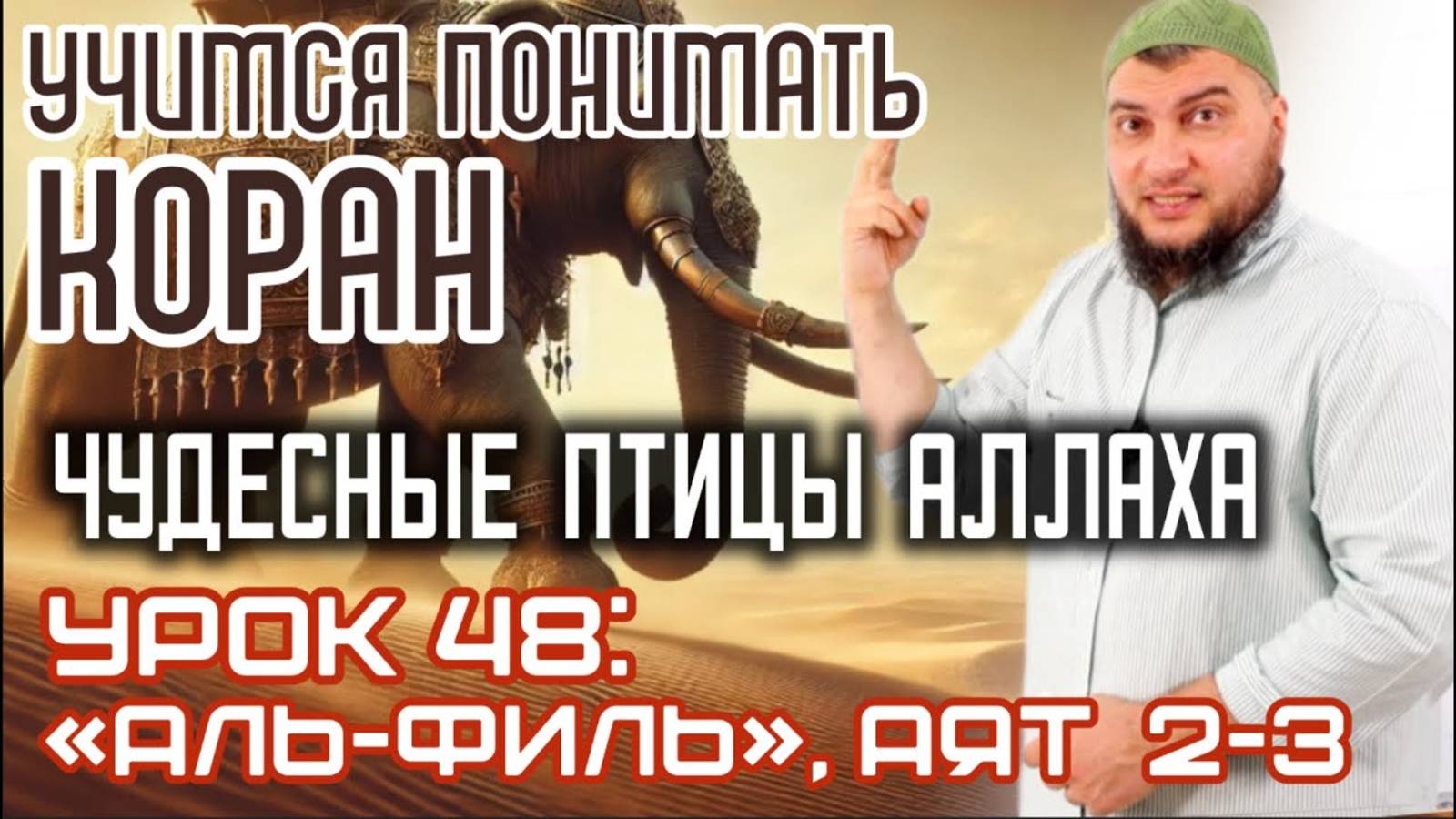 Урок 48: «аль-Филь»,  аяты 2-3 «… Разве Аллах не обратил их планы в убыток!» (УПК)