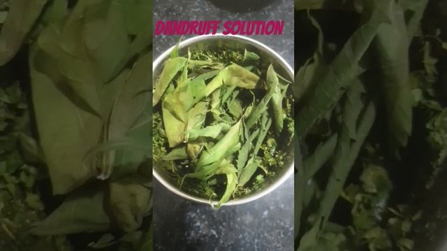 Neem And Curd Best Hair Mask For Dandruff