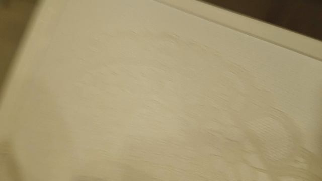 уход за мини палочником