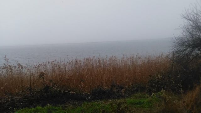 VID_20250113_150748.mp4