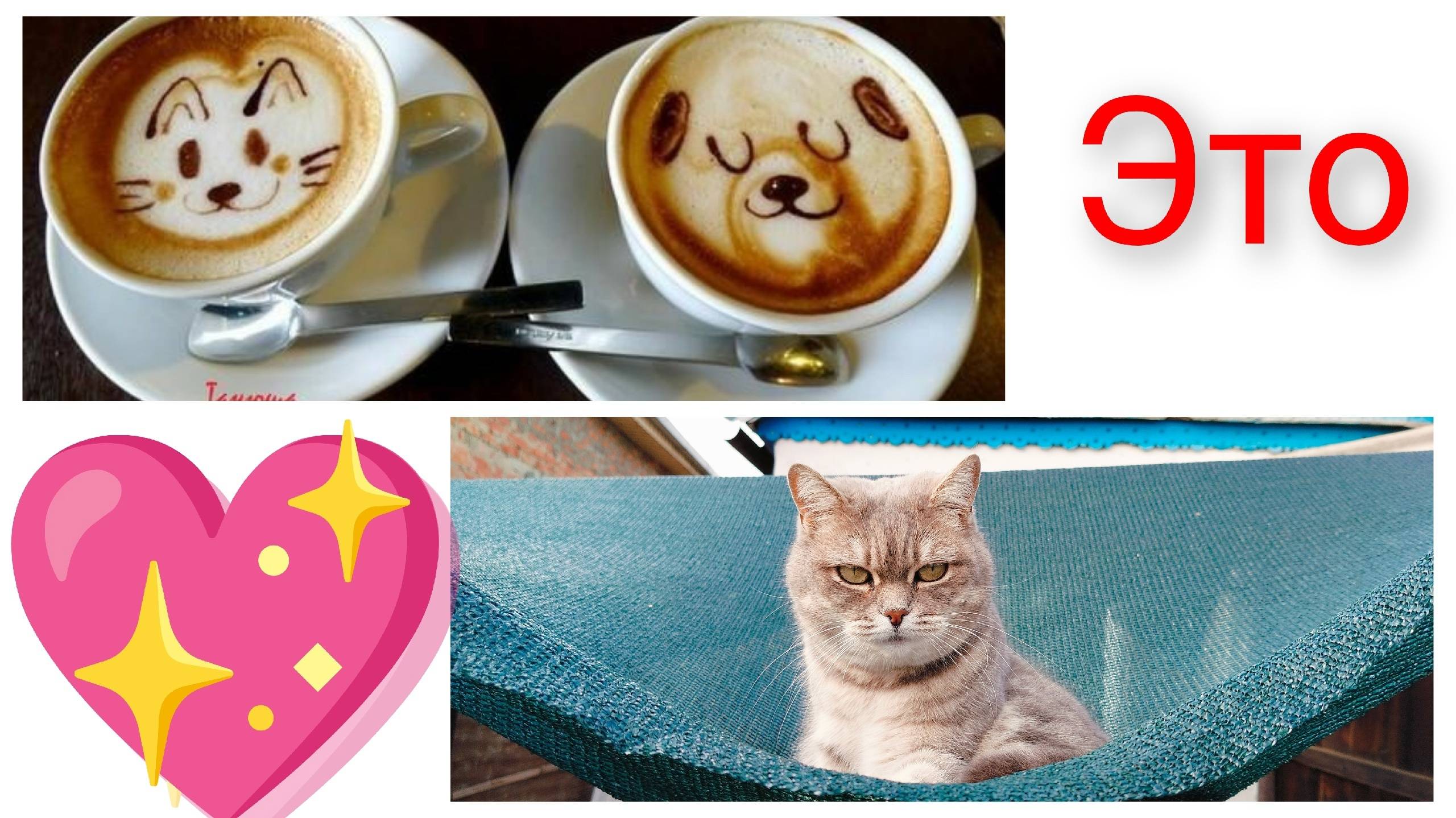 Задаём ритм/Огород круглый год/Наконец-то!