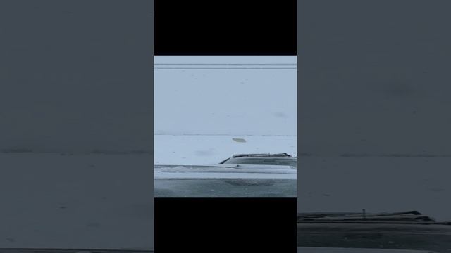 Тутари