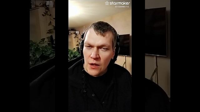 StarMaker_Константин Никольский - Мой друг художник и поэт_solo_2025-01-11_video
