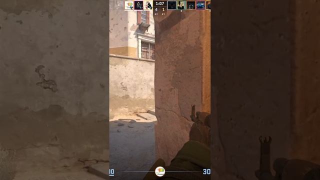 Zeus25011205