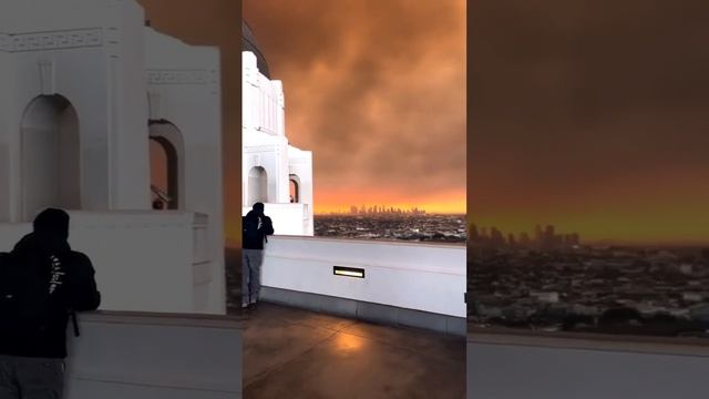 Пожар в Лос-Анджелесе, США - вид из обсерватории Гриффита