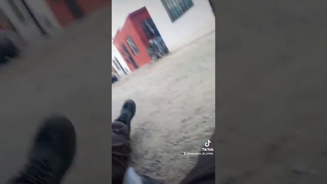 carter de transmisión y imán