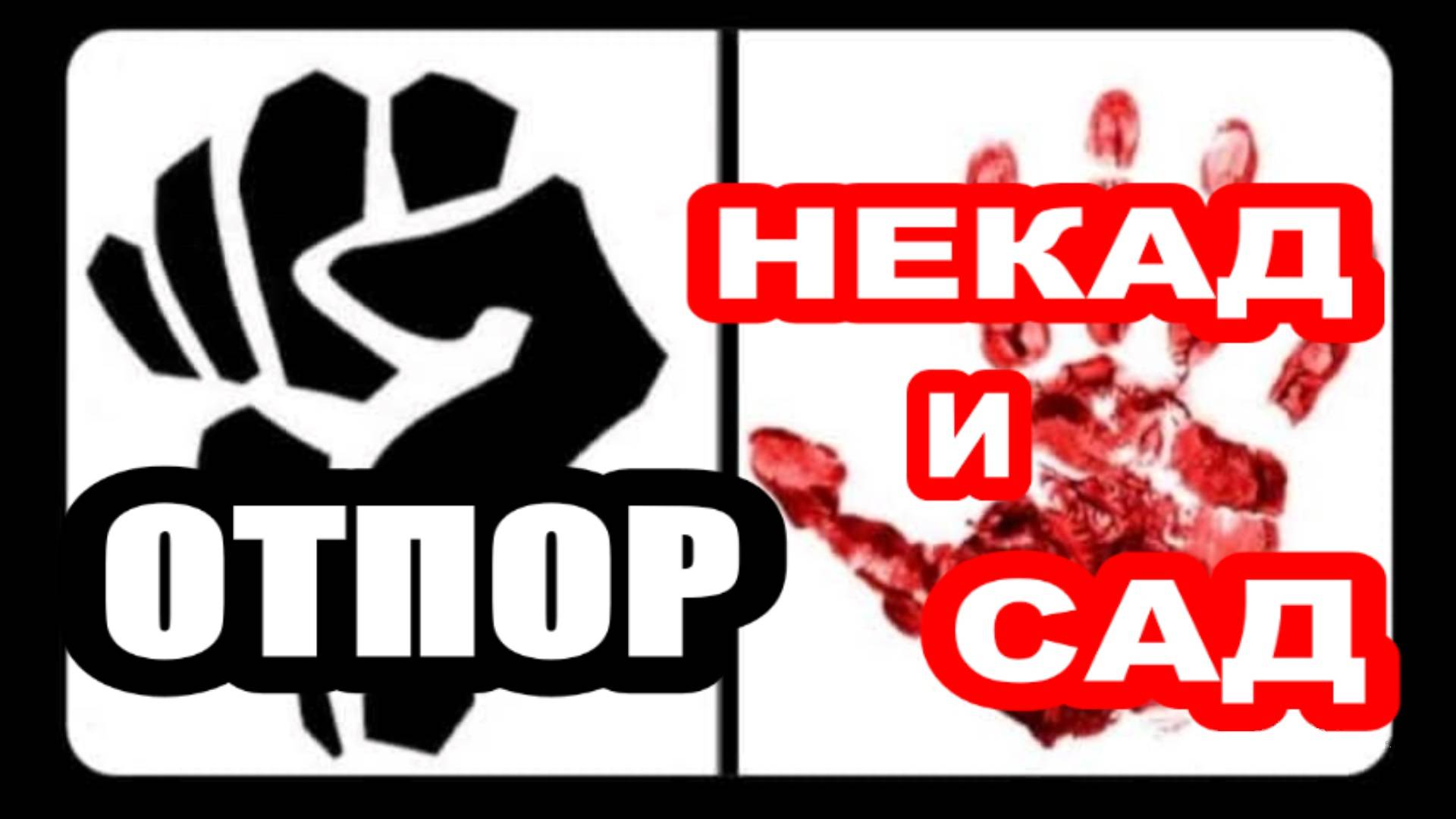 ОТПОР ✊  НЕКАД И САД !