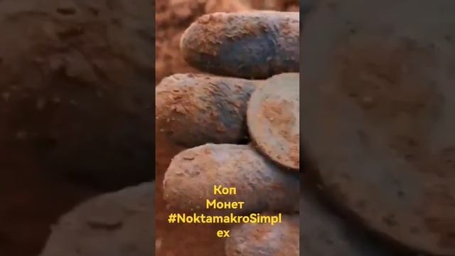 Коп монет. Нокта симплекс