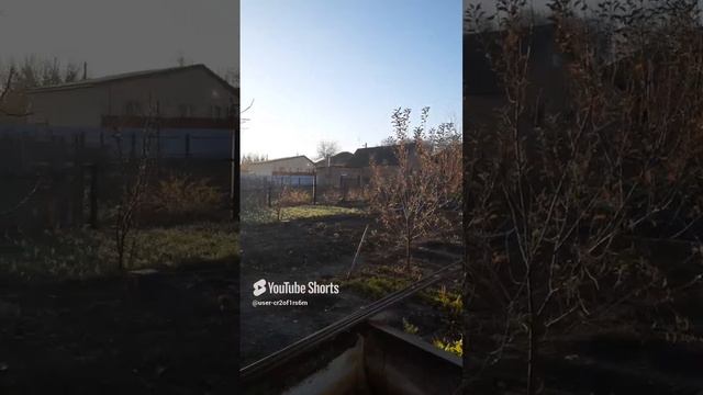 УТРО ПОСЛЕДНЕГО ДНЯ ОКТЯБРЯ!!!Shorts