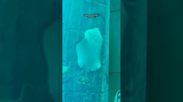 I Tried Underwater Yoga at Atlantis