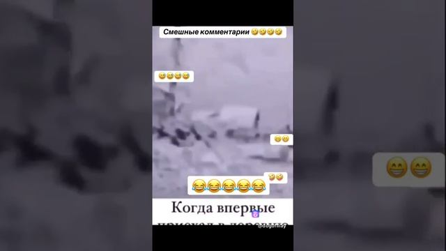 Комменты от бога 😅