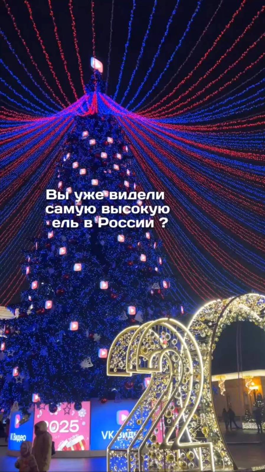 ❓Вы уже видели самую высокую стволовую ель в стране?