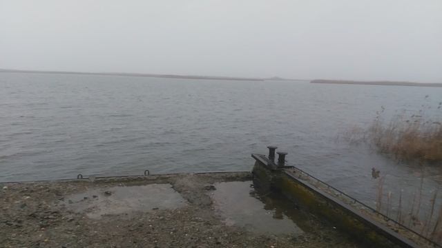 VID_20250113_145042.mp4