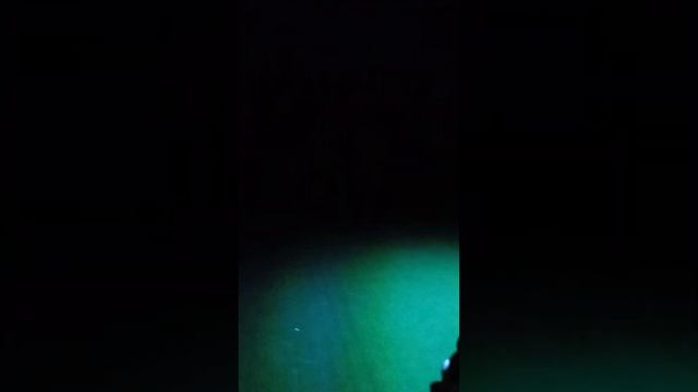поход в Джуманджи