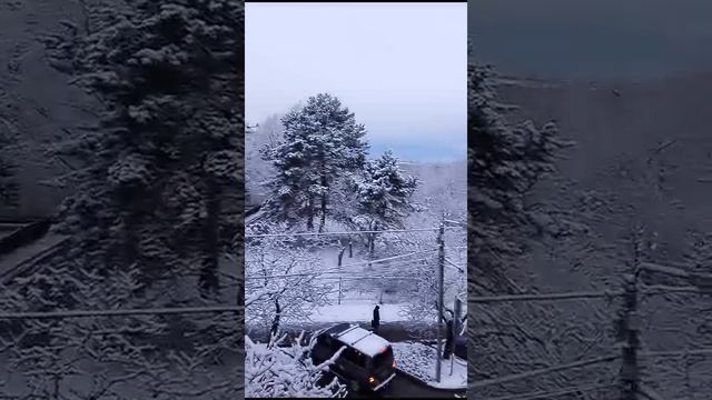 старый новый 2025
13 января 2025