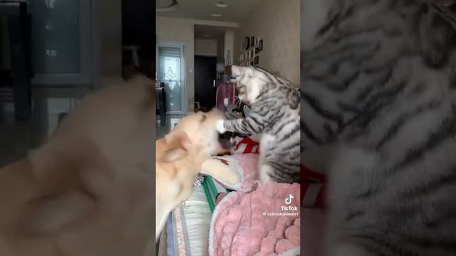1000071257.mp4