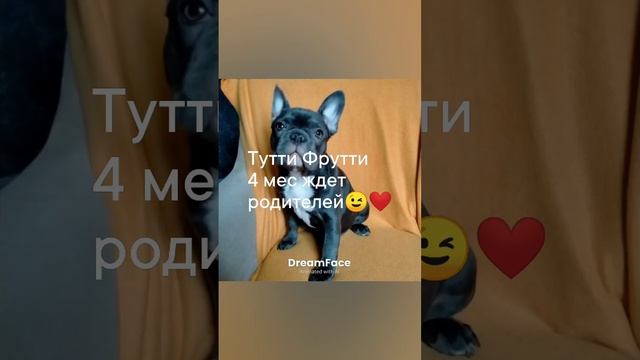 1736726931565.mp4